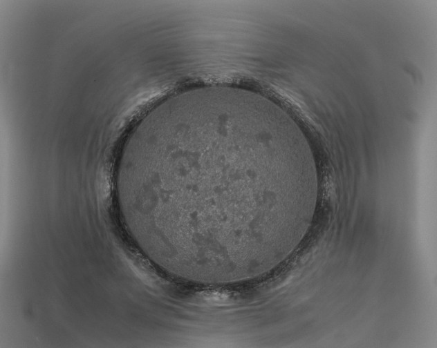 X0000113600687200909251156