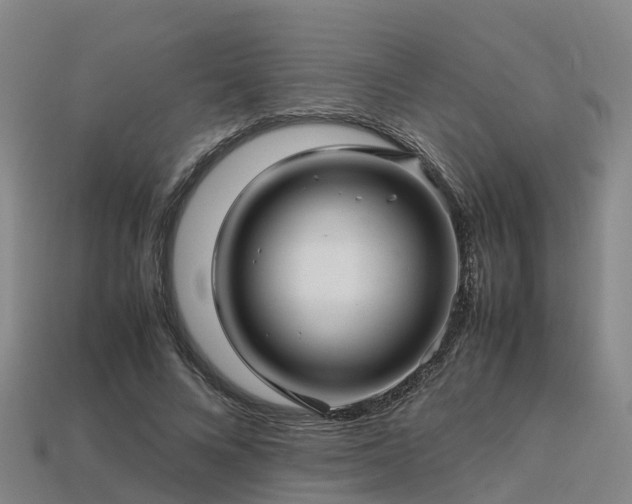 X0000113600688200909251156