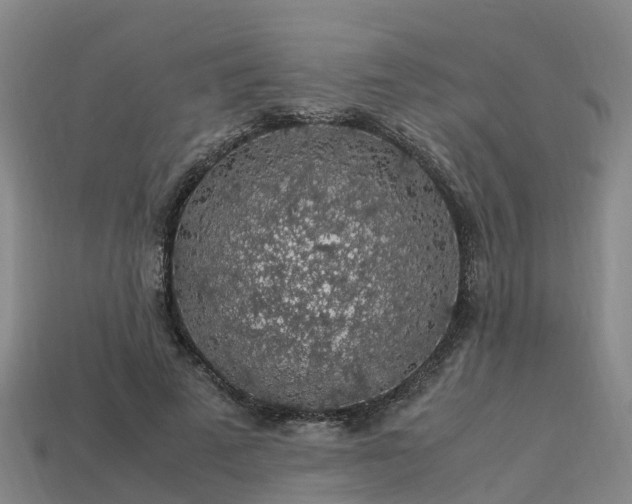 X0000113600689200909251156