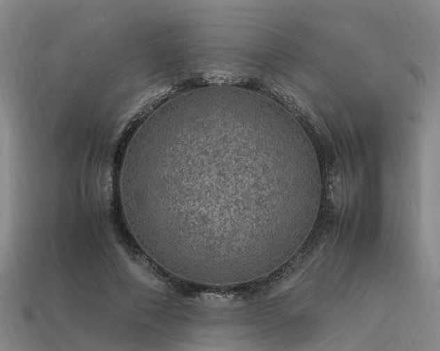 X0000113600690200909251156