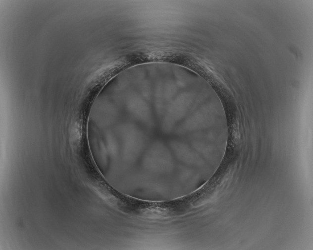 X0000113600691200909251156