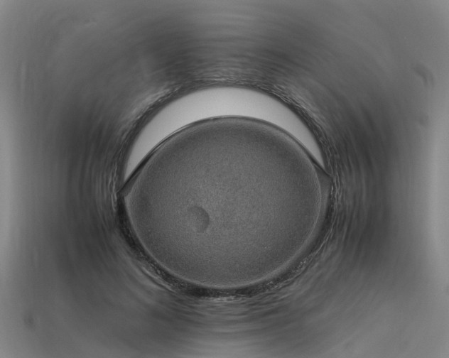 X0000113600692200909251156