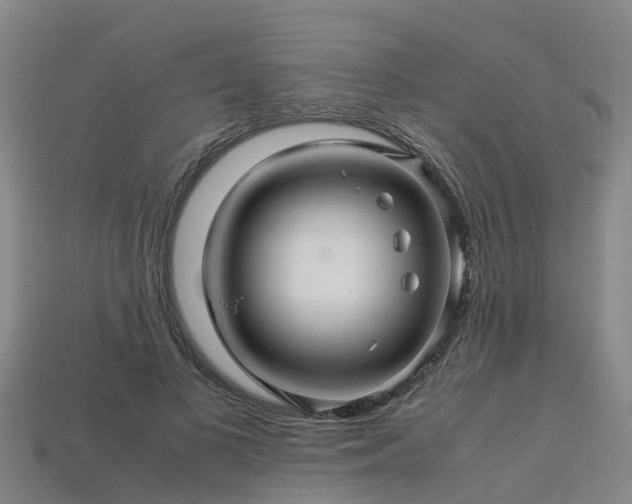 X0000113600693200909251156