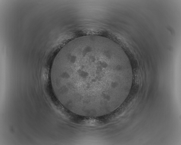 X0000113600695200909251156