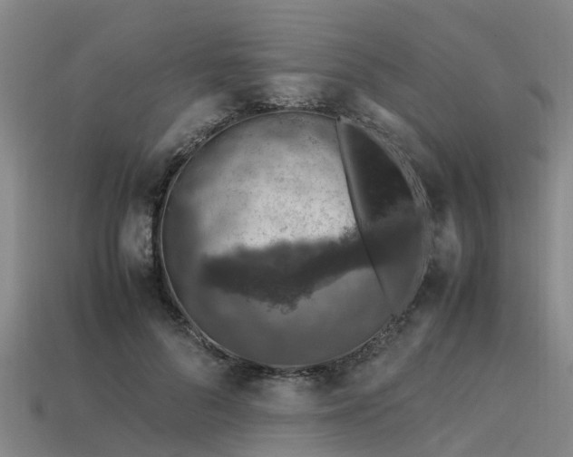 X0000113600696200909251156