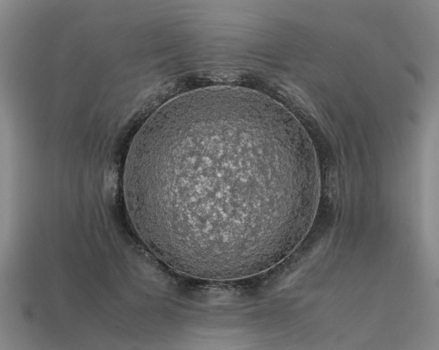 X0000113600697200909251156