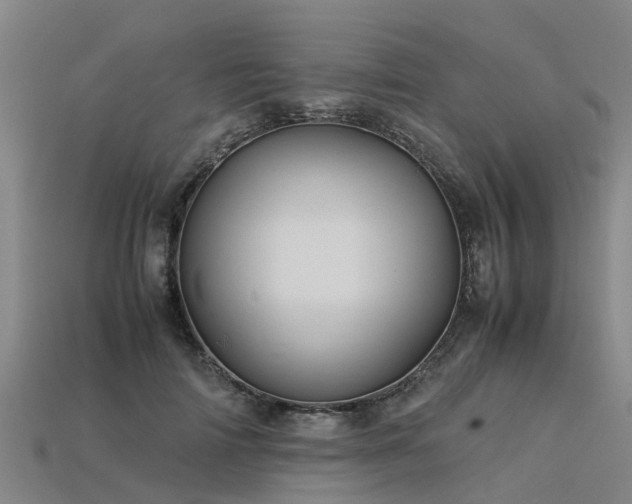 X0000113600698200909251156