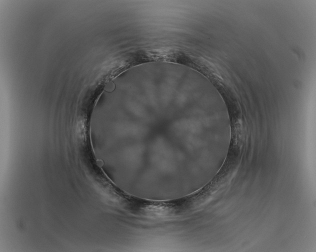 X0000113600699200909251156