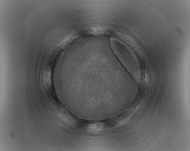 X0000113600700200909251156