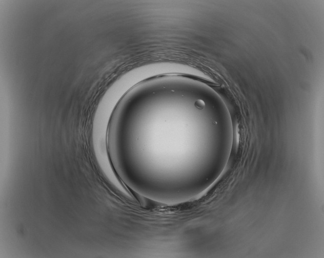 X0000113600701200909251156