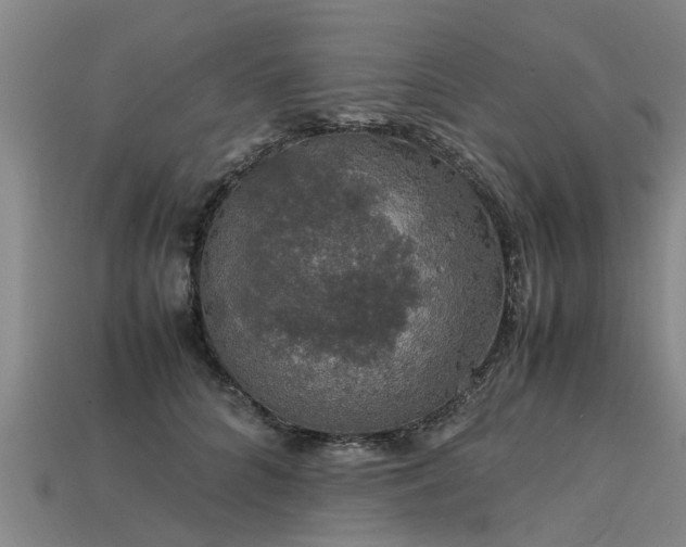 X0000113600704200909251156