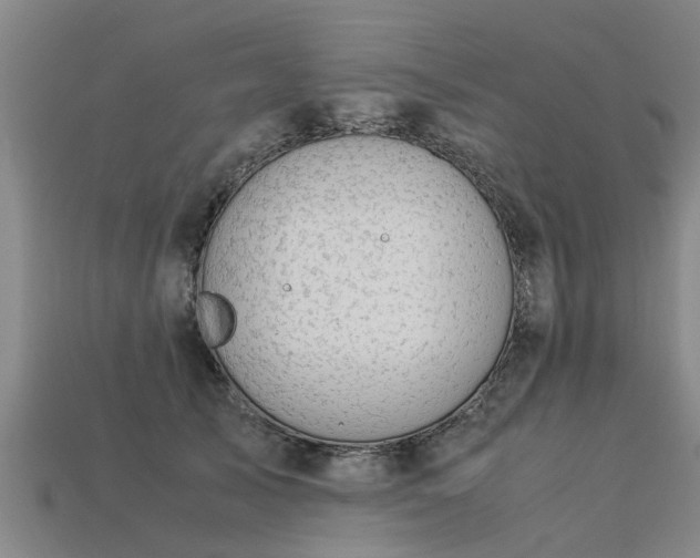 X0000113600705200909251156