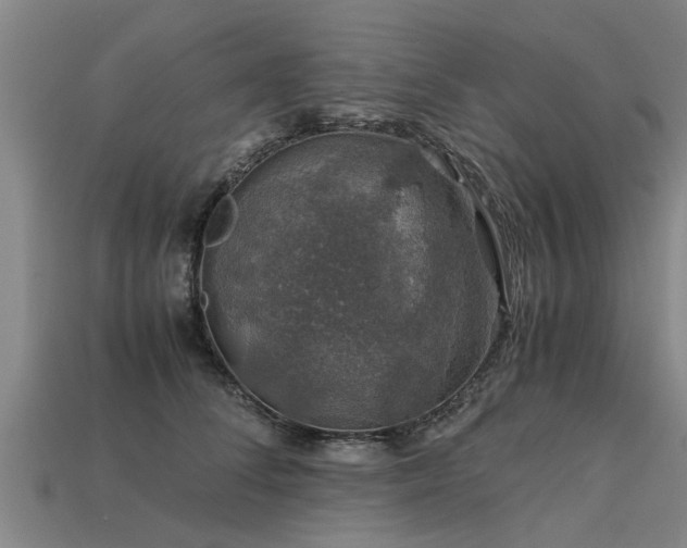 X0000113600708200909251156