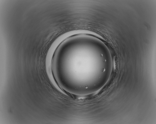 X0000113600709200909251156