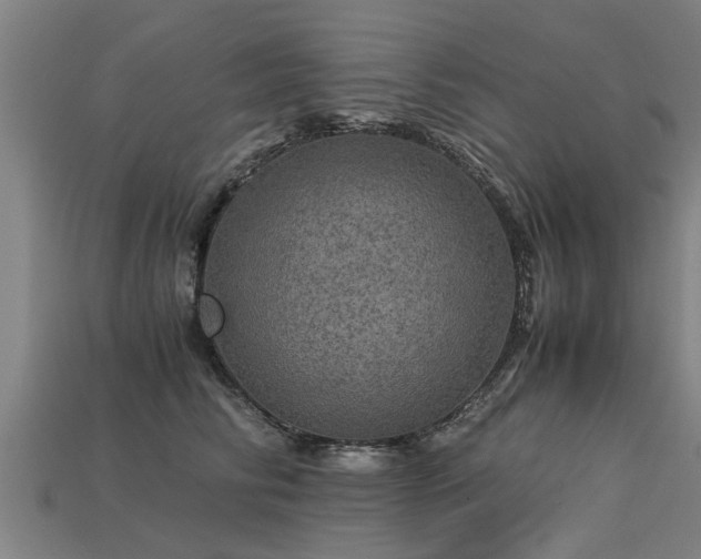 X0000113600710200909251156