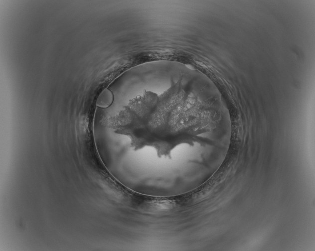 X0000113600711200909251156