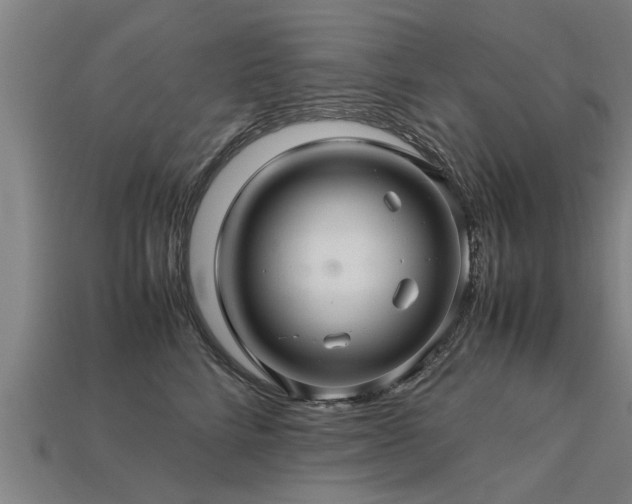 X0000113600712200909251156