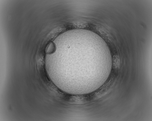 X0000113600713200909251156