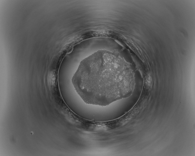 X0000113600715200909251156