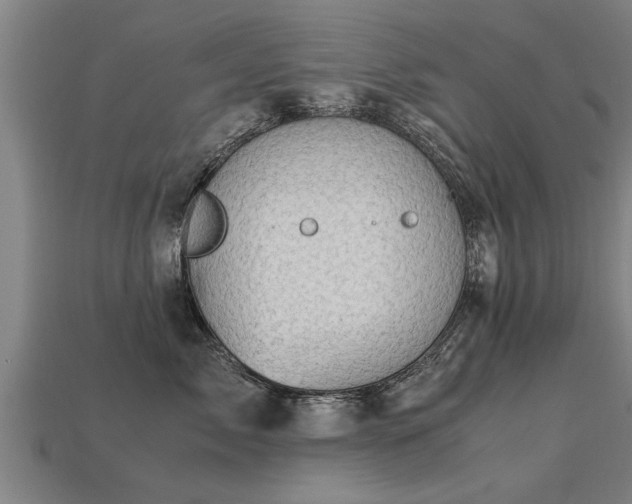 X0000113600717200909251156