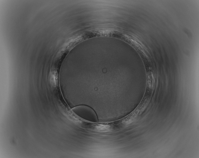 X0000113600718200909251156