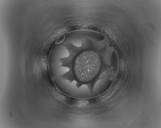 X0000113600719200909251156