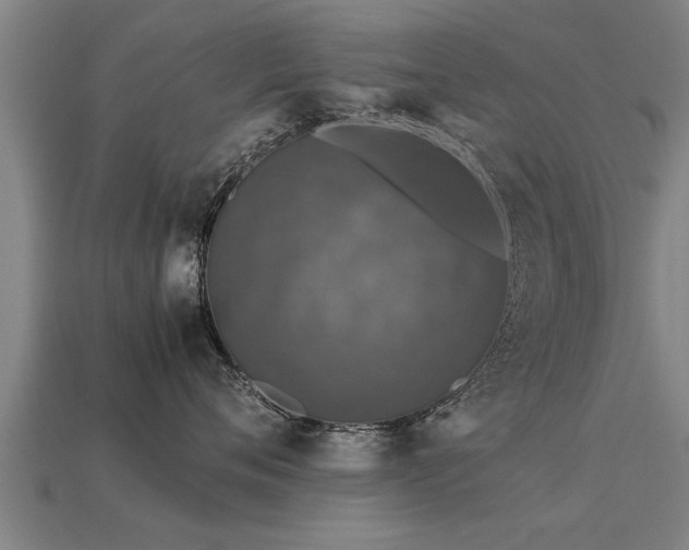 X0000113600720200909251156