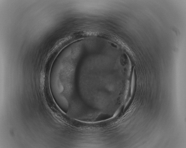 X0000113600722200909251155