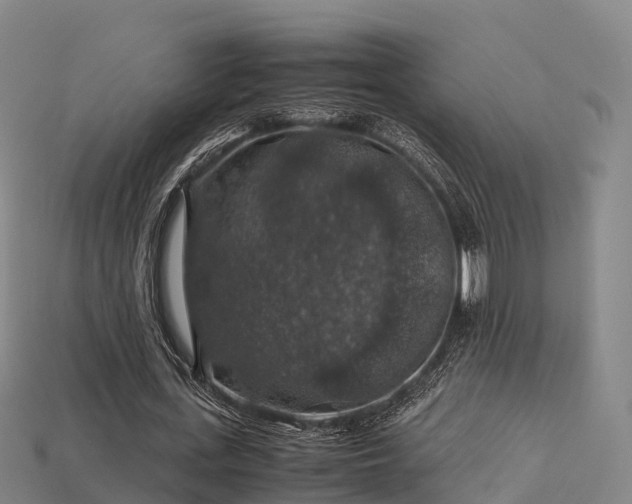 X0000113600723200909251155