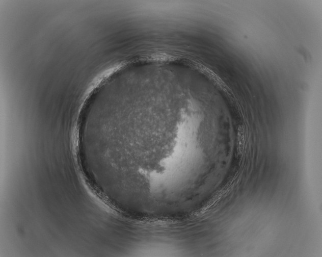 X0000113600726200909251155