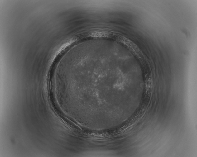 X0000113600727200909251155