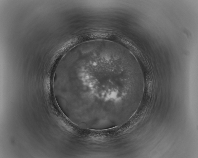 X0000113600729200909251155