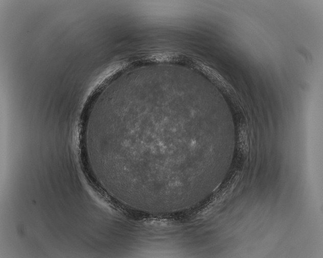 X0000113600730200909251155