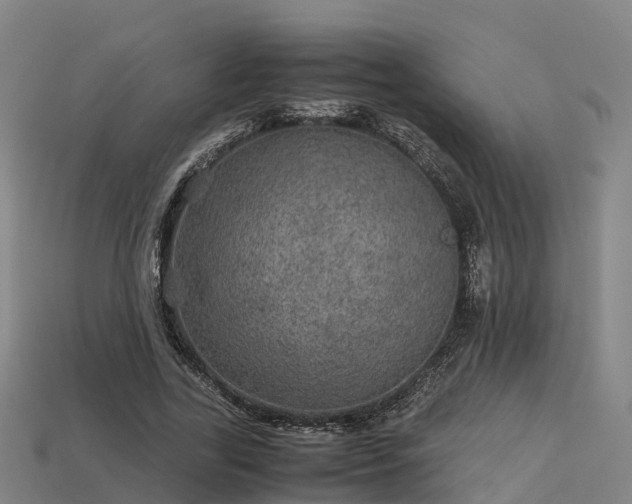 X0000113600731200909251155