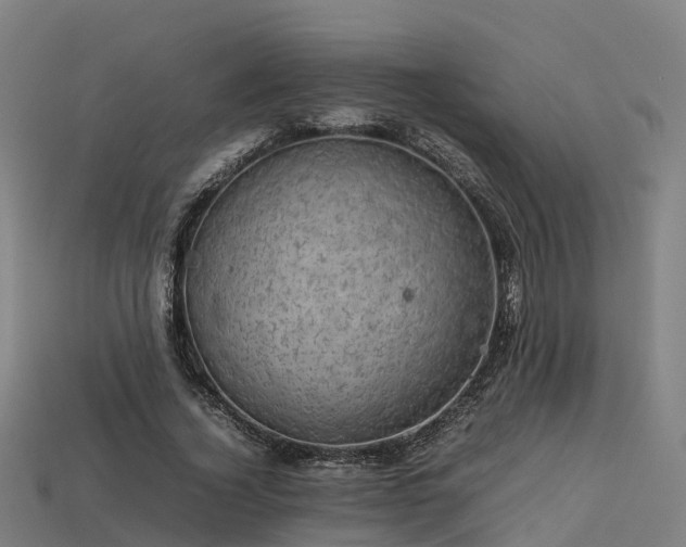 X0000113600732200909251155