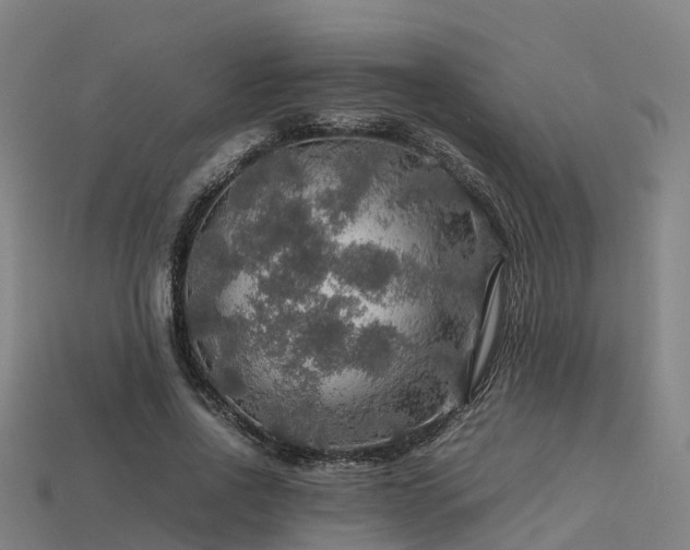 X0000113600734200909251155