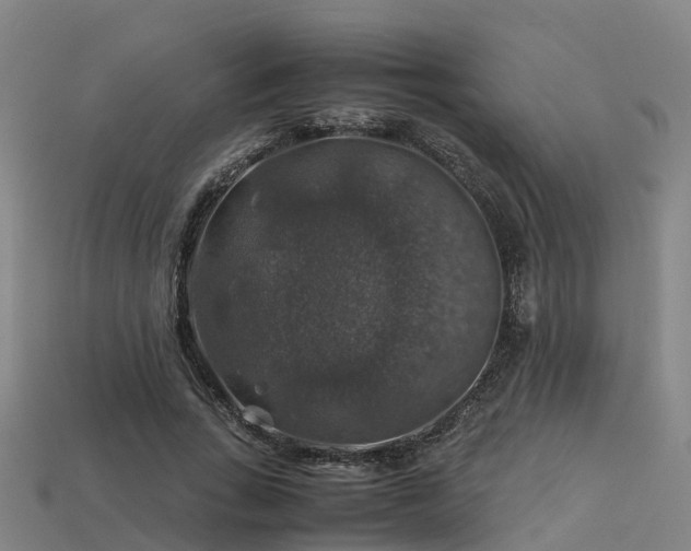 X0000113600735200909251155