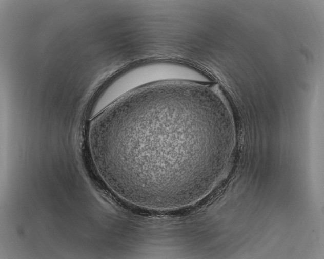 X0000113600736200909251155