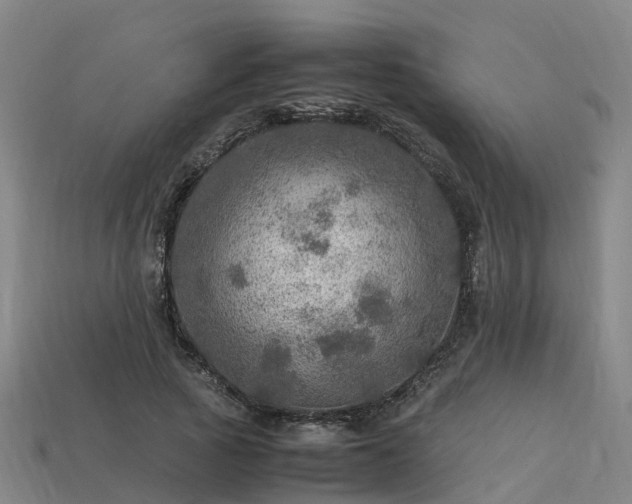 X0000113600737200909251155