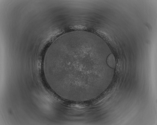 X0000113600739200909251155