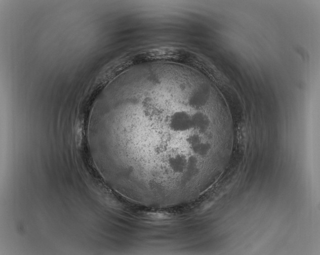 X0000113600741200909251155