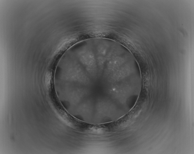 X0000113600742200909251155