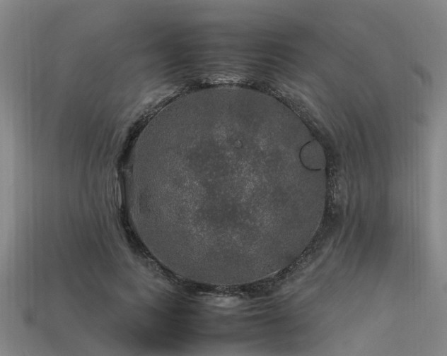 X0000113600743200909251155