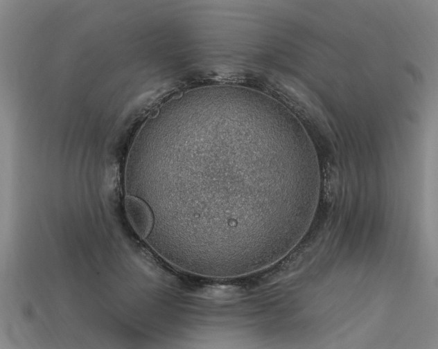 X0000113600748200909251156