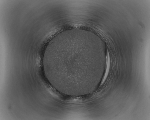 X0000113600750200909251156