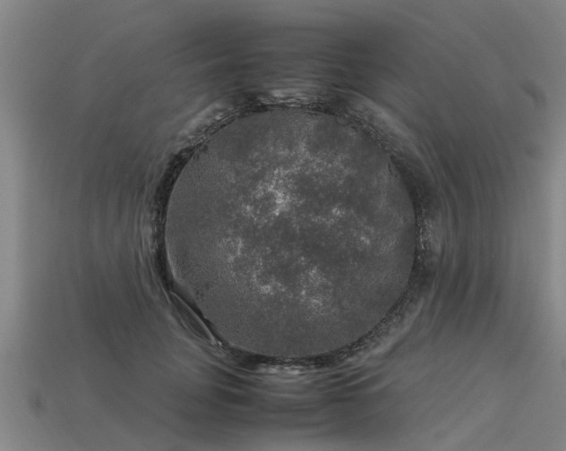 X0000113600751200909251156