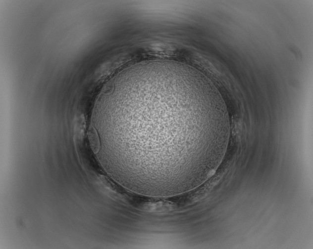 X0000113600752200909251156