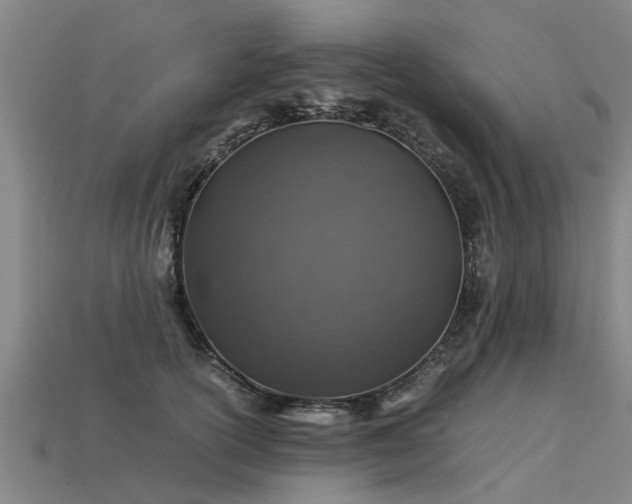 X0000113600754200909251156