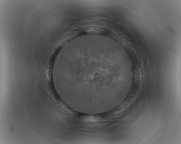 X0000113600755200909251156