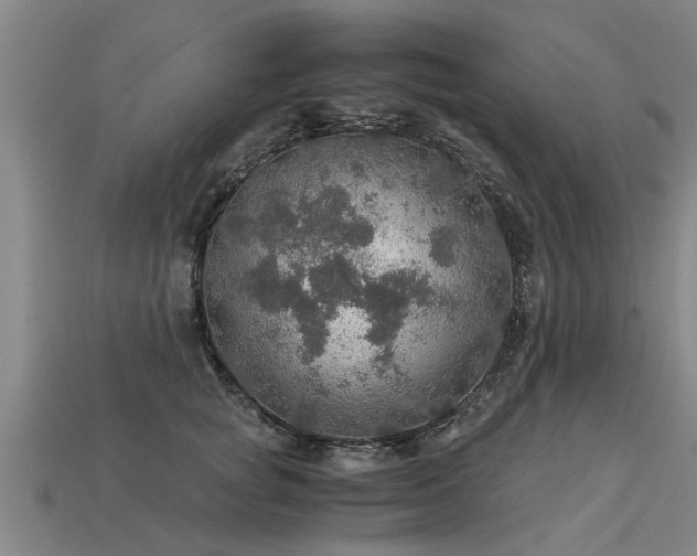 X0000113600757200909251156